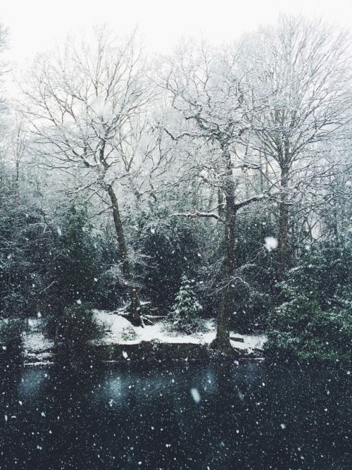 b2b5d6faf156d073fa29bb5c6a03e316