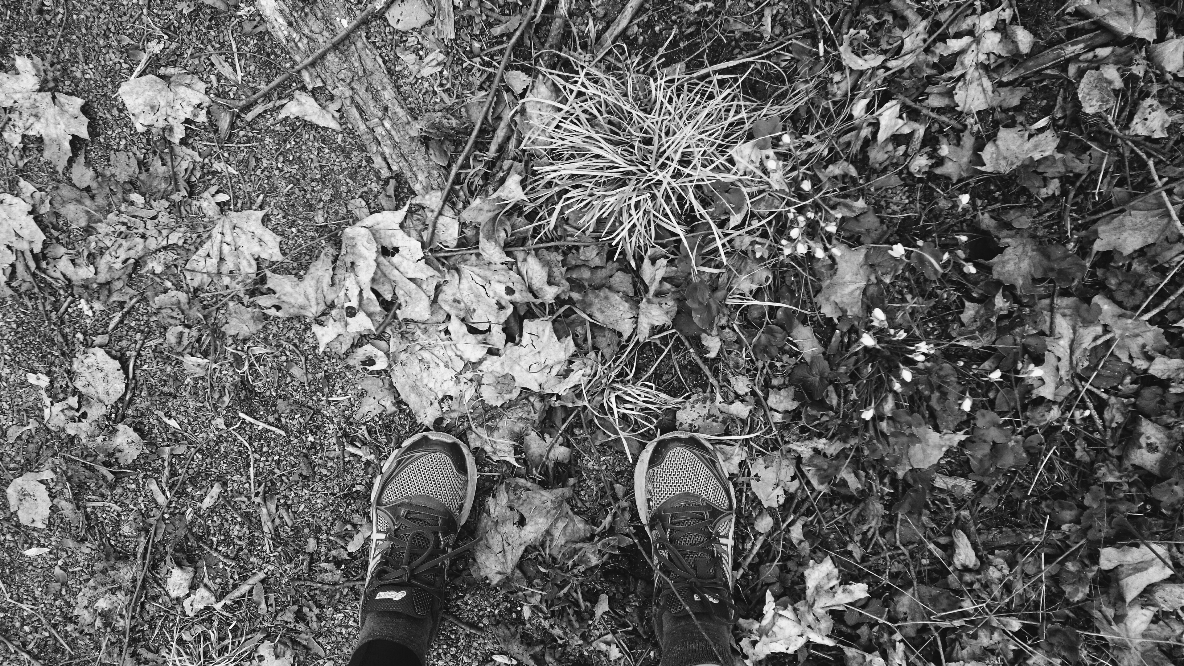 Processed with VSCO with b5 preset