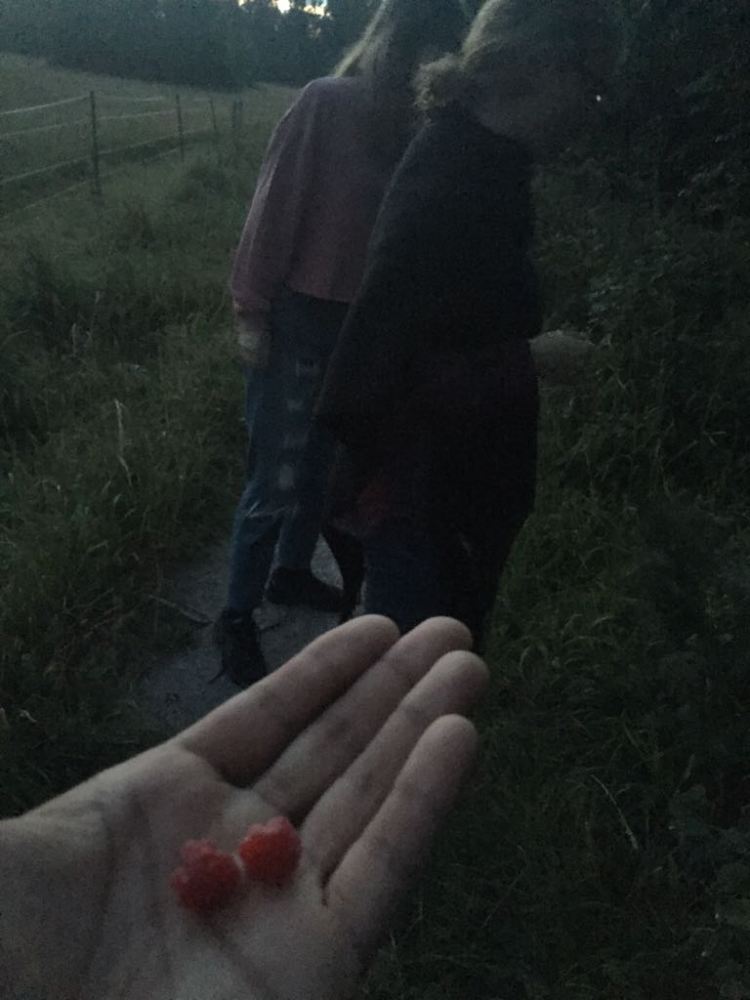 Photo from Linnéa Strömberg (1).jpg