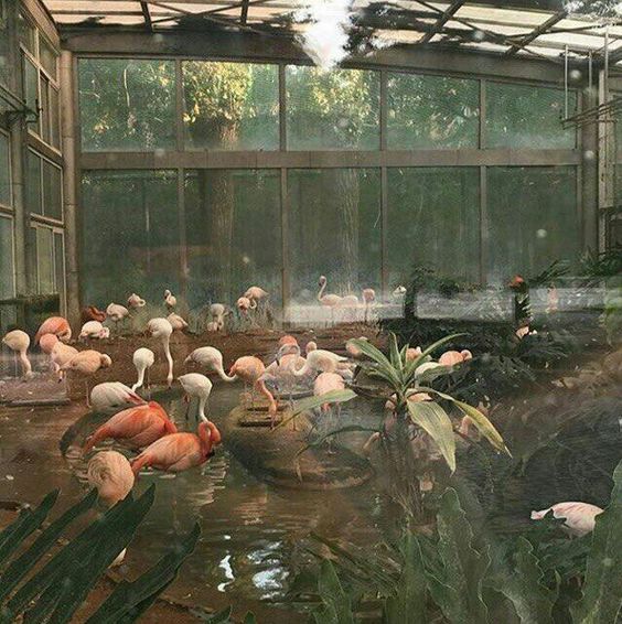 39f7c28e9abdfd50343b2f4eb0ff3276