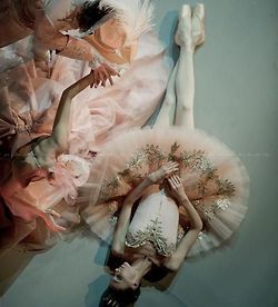 392c19204dad07037504f5285ed1ec6a