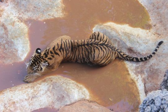 ce9e4e8ae1e0a0b5e24d41dac01d34c5