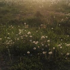 c6eba364d200682957bb64d5e544329d